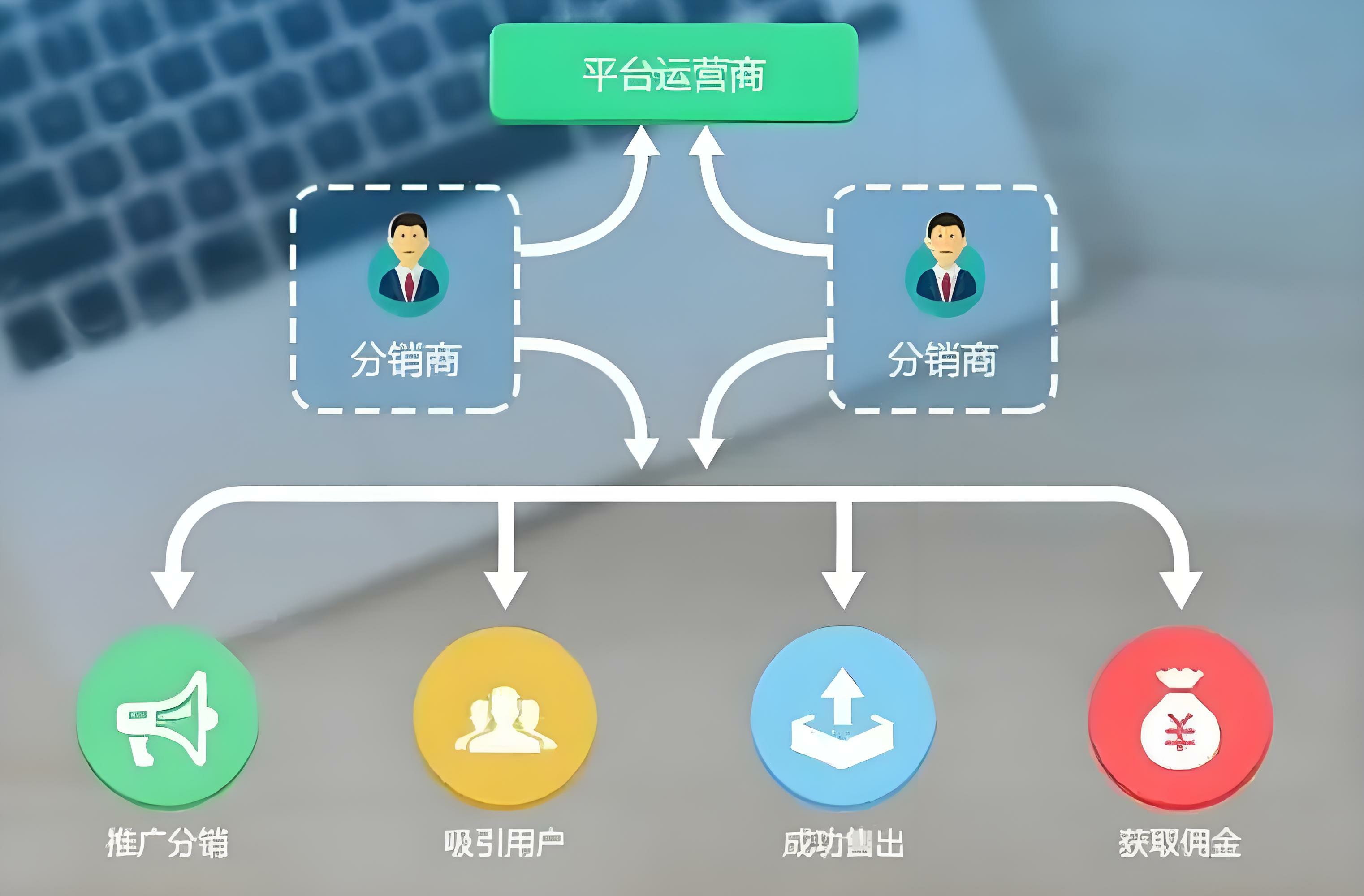 定制电商平台系统时，如何确保源码的质量和可维护性？